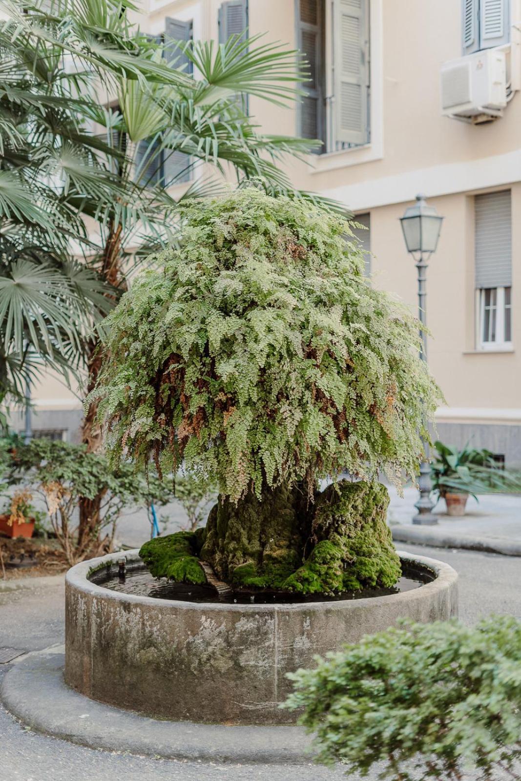 Apartmán Valentine'S Dream Řím Exteriér fotografie